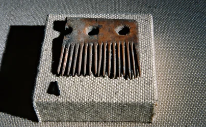 Drewniany grzebień, znaleziony w Cueva de los Murcielagos, Zuheros, Hiszpania (drewno)